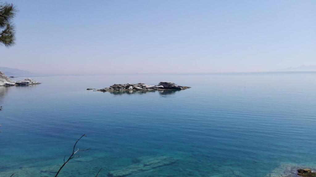 Our Luxury - Palaiontsiflikion