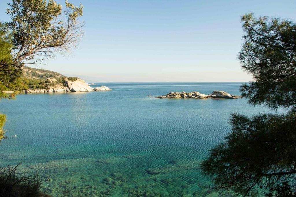 Our Luxury - Palaiontsiflikion